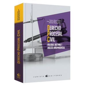 Derecho procesal civil oralidad, doctrina y análisis jurisprudencial