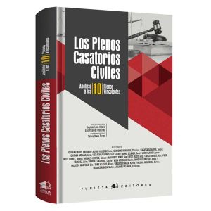 Libro los plenos casatorios civiles, análisis a los 10 plenos vinculantes | Yelena Meza Torres, Benjamín Aguilar Llanos, Alfredo Valverde Luis, entre otros.