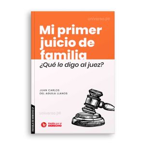 Mi Primer Juicio de Mamilia | Juan Carlos Del Aguila Llanos